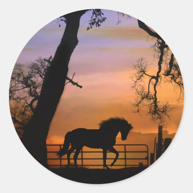 Beautiful Horse Stickers (Front)