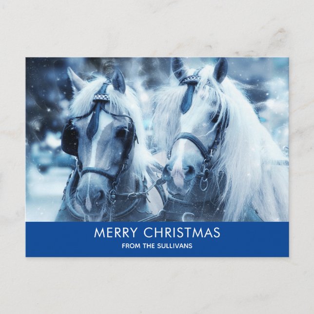 Beautiful Horse Team Winter Photo Christmas Holiday Postcard (Front)