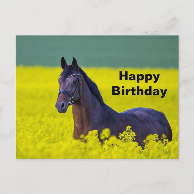 Beautiful Horse Yellow Flowers Photo Birthday Postcard (Front)