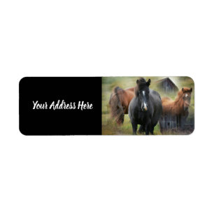 Beautiful Horses and Rustic Barn