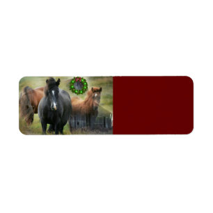 Beautiful Horses and Rustic Barn Christmas