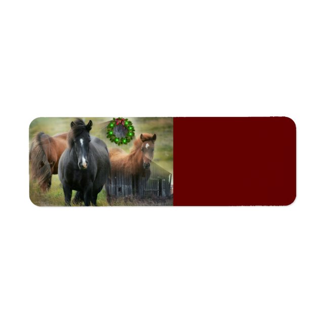 Beautiful Horses and Rustic Barn Christmas (Front)