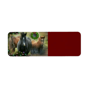 Beautiful Horses and Rustic Barn Christmas