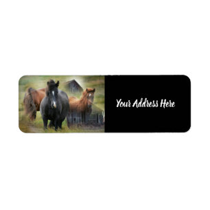 Beautiful Horses and Rustic Barn Label