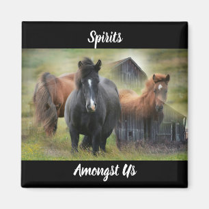 Beautiful Horses and Rustic Barn Magnet