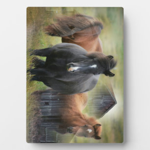 Beautiful Horses and Rustic Barn Plaque