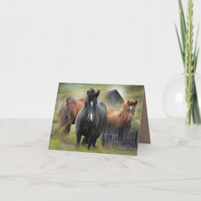 Beautiful Horses and Rustic Barn Thank You Card (Front)