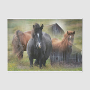 Beautiful Horses and Rustic Barn Tissue Paper
