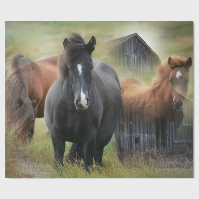 Beautiful Horses and Rustic Barn Wrapping Paper (Flat)