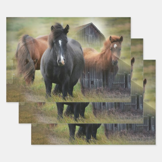Beautiful Horses and Rustic Barn Wrapping Paper Sheet (Set)