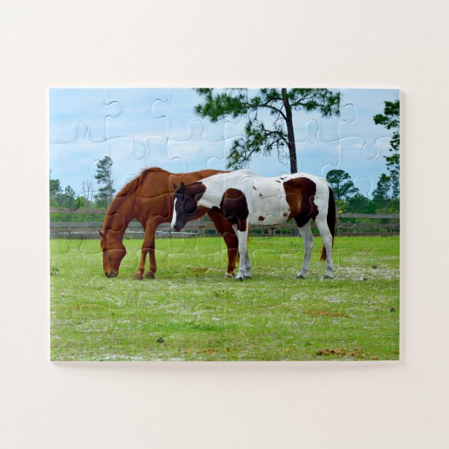 Beautiful Horses at a ranch Jigsaw Puzzle (Horizontal)