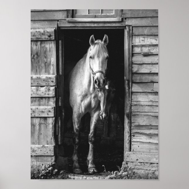 Beautiful Horses Black and White Rustic Farmhouse Poster (Front)