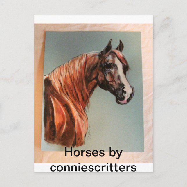 Beautiful Horses by conniescritters Postcard (Front)