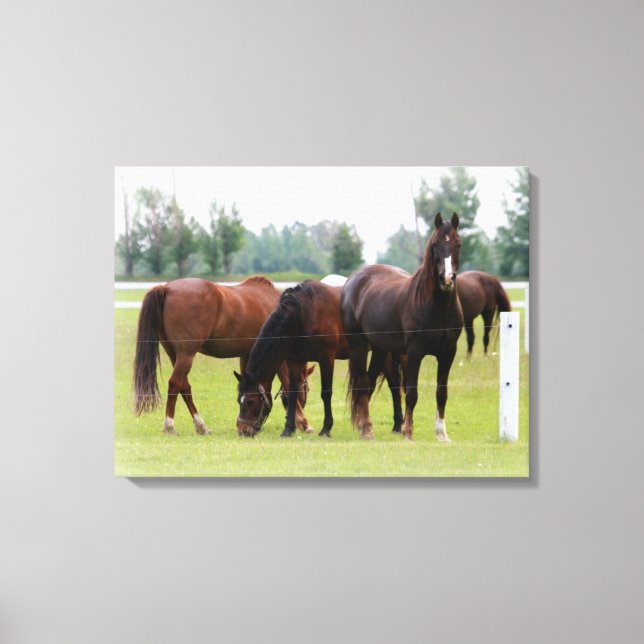 Beautiful Horses/Canvas Wrap Canvas Print (Front)