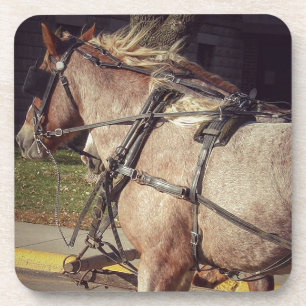 Beautiful Horses Coaster