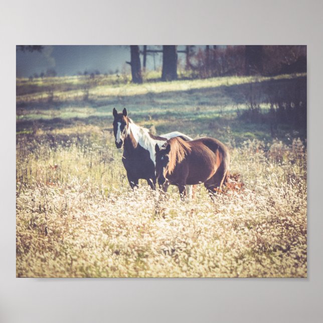 Beautiful Horses Farm Animals Poster (Front)