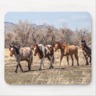Beautiful Horses in a Pasture Mouse Mat