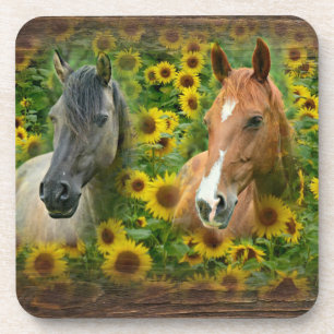 Beautiful Horses in Field of Sunflowers Coaster