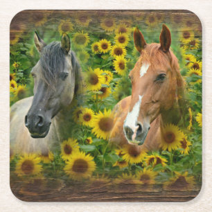 Beautiful Horses in Field of Sunflowers Square Paper Coaster