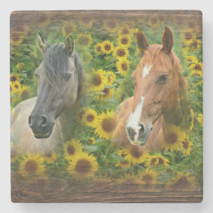Beautiful Horses in Field of Sunflowers Stone Coaster