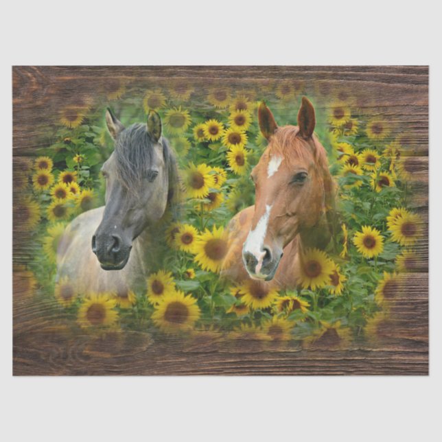 Beautiful Horses in Field of Sunflowers Tissue Paper (Front)
