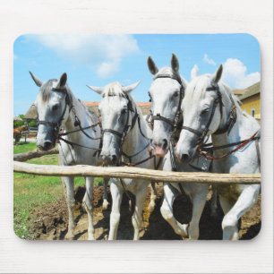 Beautiful horses mouse mat