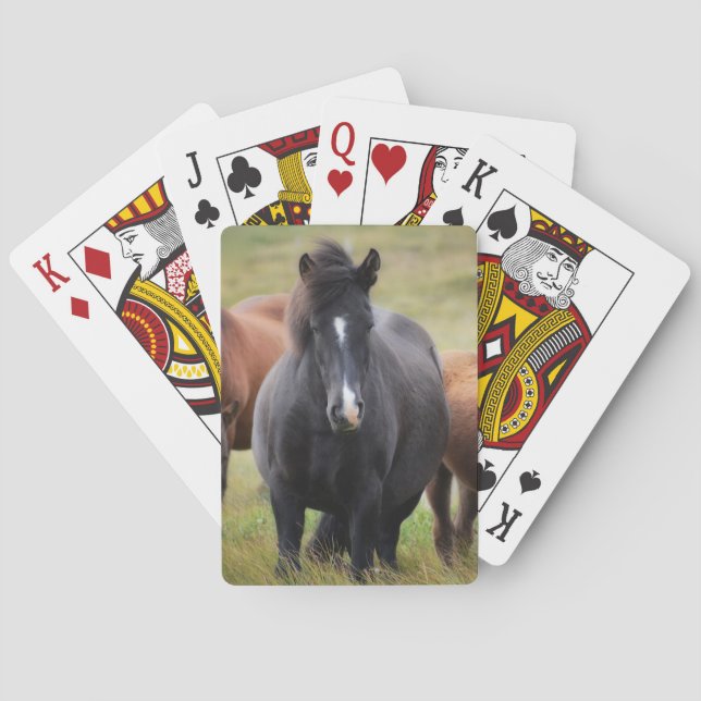 Beautiful Horses Playing Cards (Back)