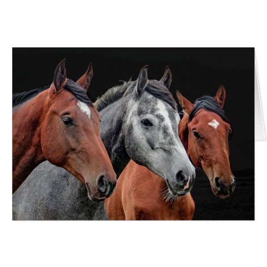 BEAUTIFUL HORSES PORTRAIT. HORSE FACE CLOSEUP CARD
