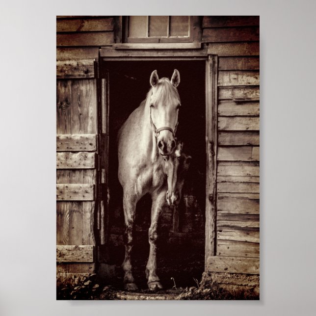 Beautiful Horses Rustic Brown Barn Poster (Front)