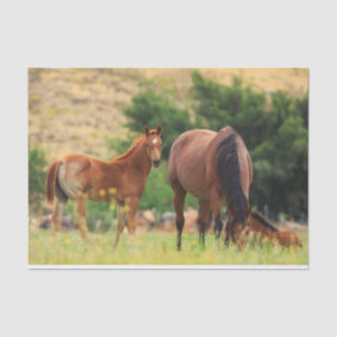 Beautiful Horses Tissue Paper