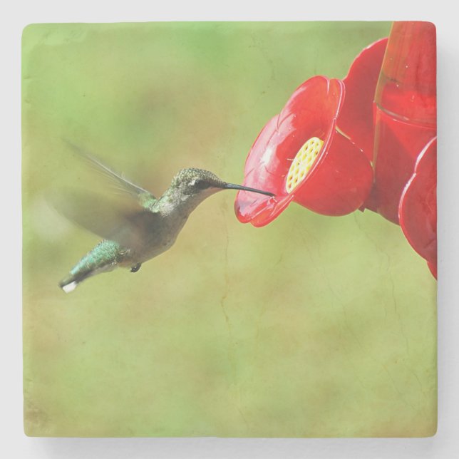 Beautiful Hummingbird Feeding Stone Coaster (Front)
