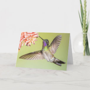 Beautiful Hummingbird Flying to a Flower Sympathy Card