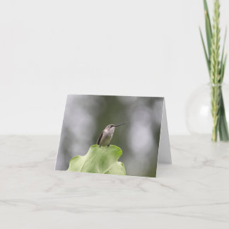 Beautiful Hummingbird Greeting Card