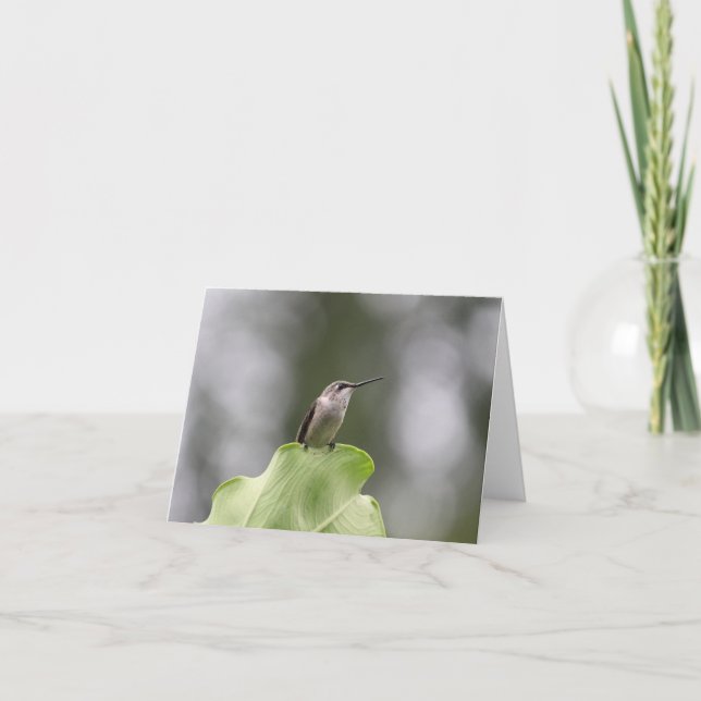 Beautiful Hummingbird Greeting Card (Front)