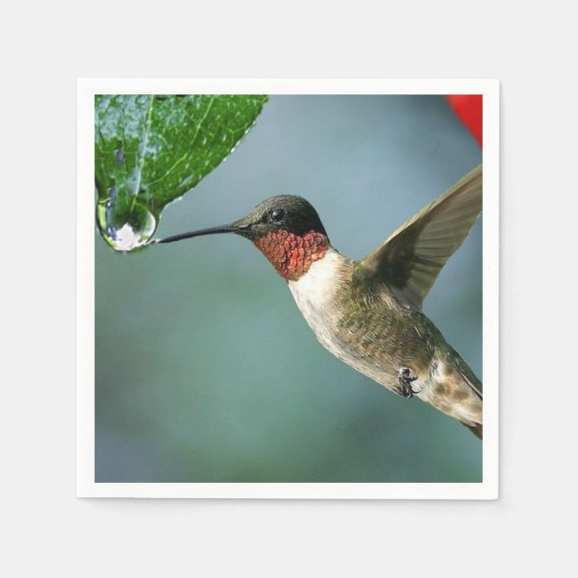 Beautiful Hummingbird Nature Scenery Napkin (Front)