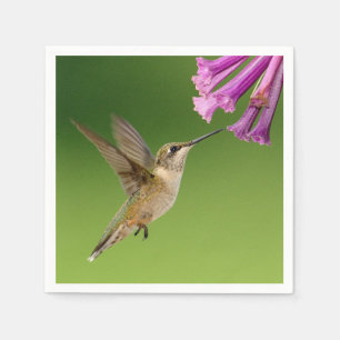 Beautiful Hummingbird Nature Scenery Napkin