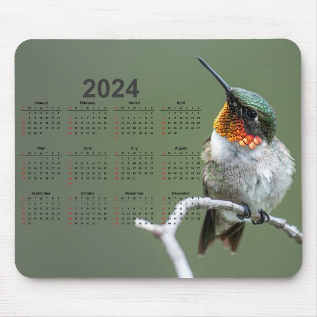 Beautiful Hummingbird on Branch 2024 Calendar Mouse Mat (Front)