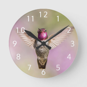 Beautiful Hummingbird Photo Round Clock
