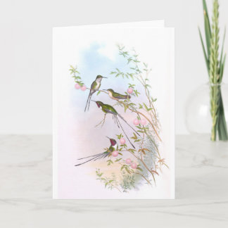 BEAUTIFUL HUMMINGBIRDS HOLIDAY CARD