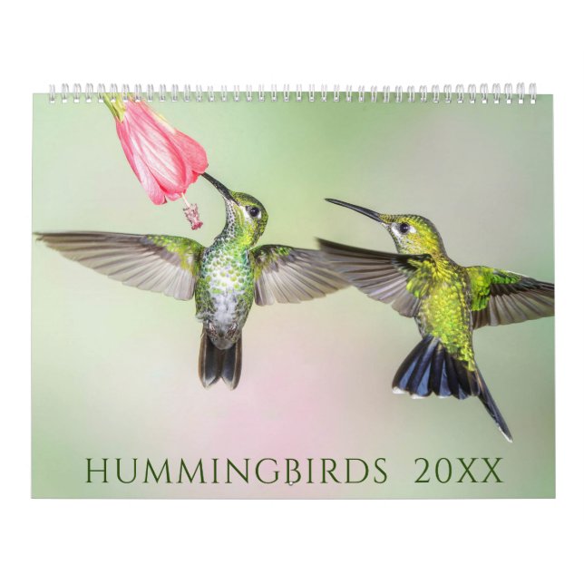 Beautiful Hummingbirds Photo Calendar (Cover)