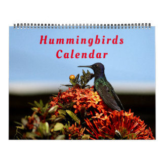 Beautiful Hummingbirds - Pretty Colourful Birds Calendar