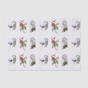 Beautiful Hummingbirds Vintage Art Tissue Paper