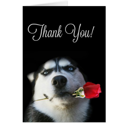 Beautiful Husky Dog Thank You Card