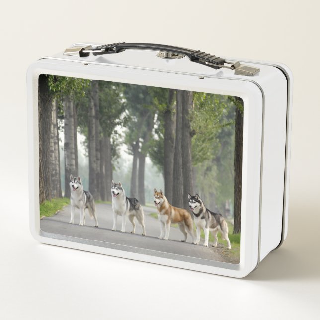 Beautiful Husky Dogs on a Nature Trail Metal Lunch Box (Back)