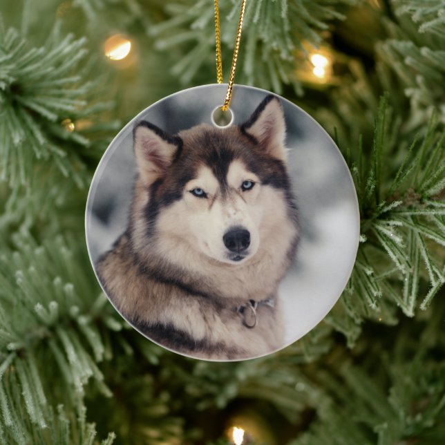 Beautiful Husky in the Outdoors Ceramic Tree Decoration (Tree)