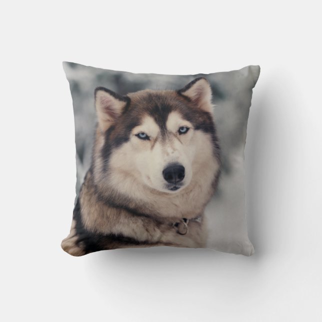 Beautiful Husky in the Outdoors Cushion (Front)