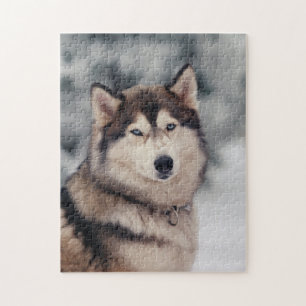 Beautiful Husky in the Outdoors Jigsaw Puzzle