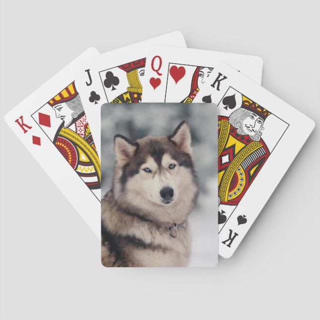 Beautiful Husky in the Outdoors Playing Cards (Back)
