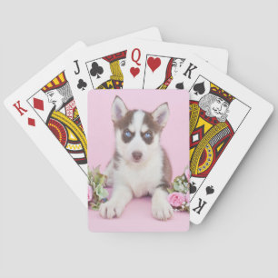 Beautiful Husky Puppy with Pink Roses Playing Cards
