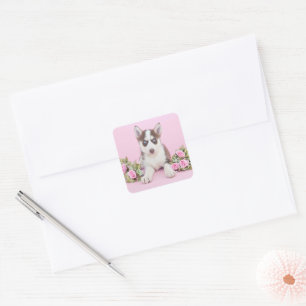 Beautiful Husky Puppy with Pink Roses Square Sticker